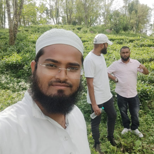 website development company near me